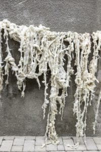 asciugatura lana